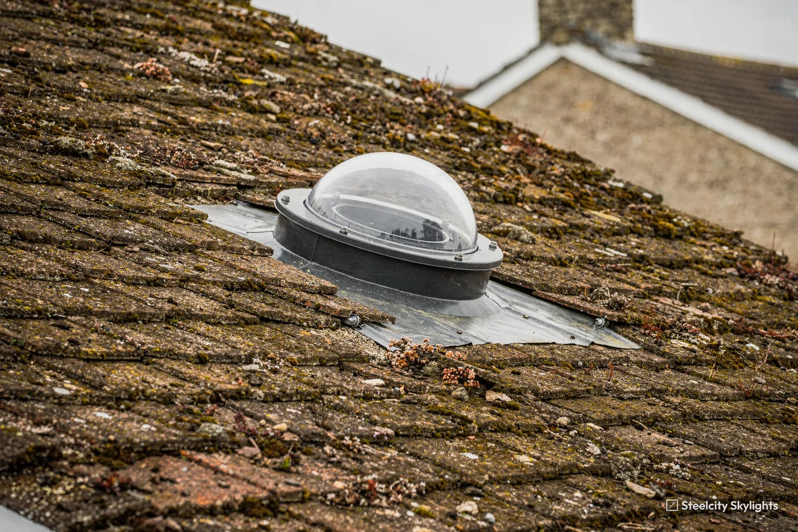 Clear sun tunnel dome with a flashing collar in a mossy concrete tile roof
