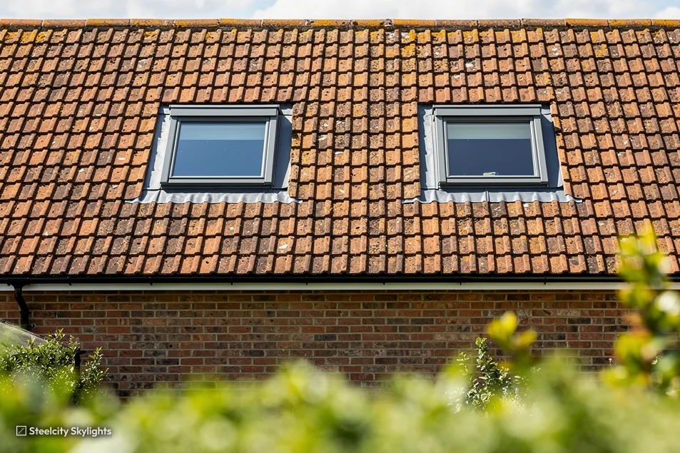 Two roof windows in a clay tile roof above a brick wall, hedge in the foreground